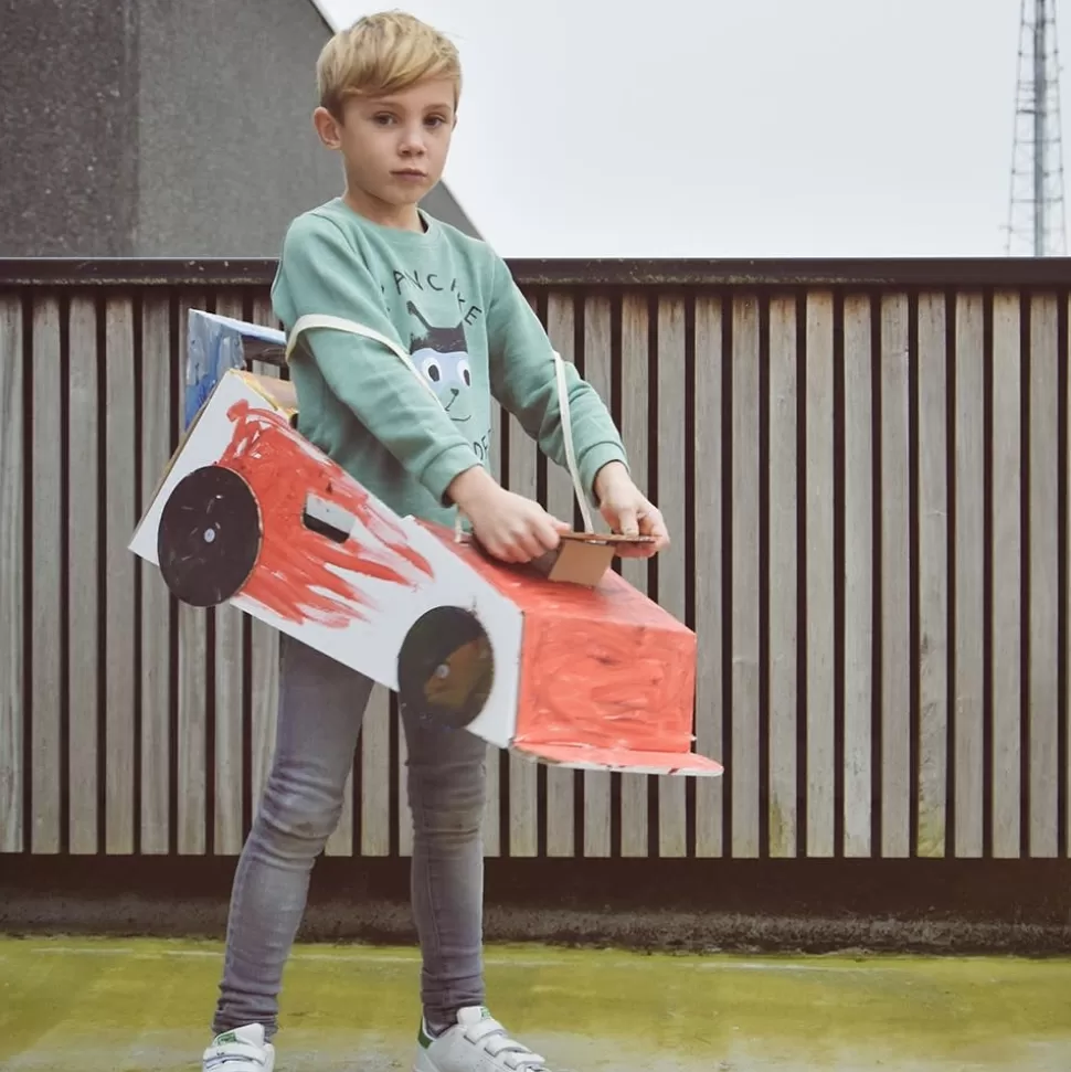 Flash Sale Mister Tody | Car Van Karton | Color-In Creatief