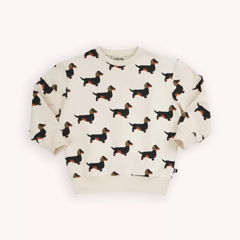 New | Dachshund Sweater | Teckel Man Truien + Vesten