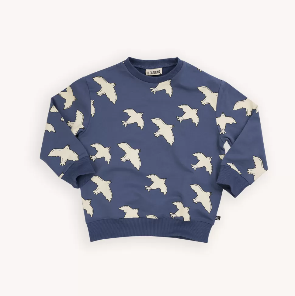 Discount | Free Like A Bird Sweater Man Truien + Vesten