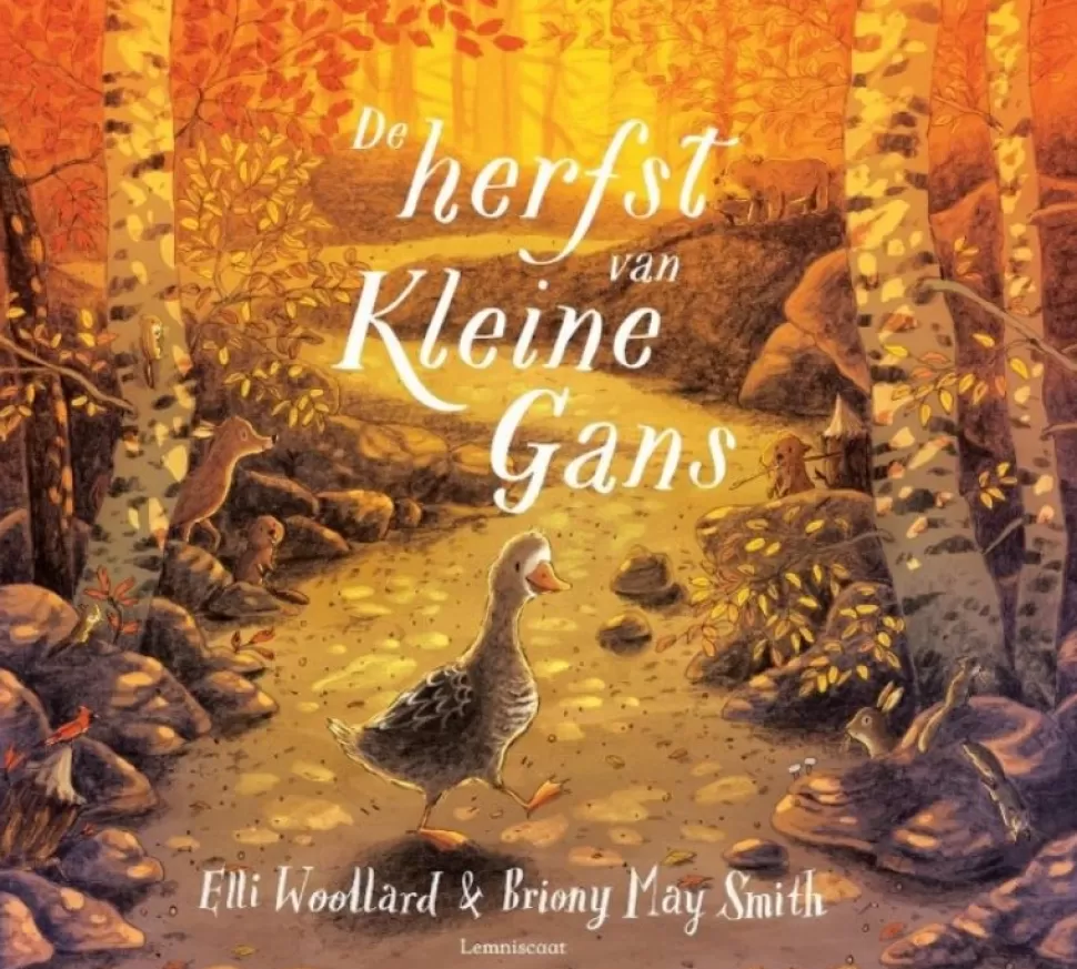 Fashion De Herfst Van Kleine Gans | Prentenboek Boeken