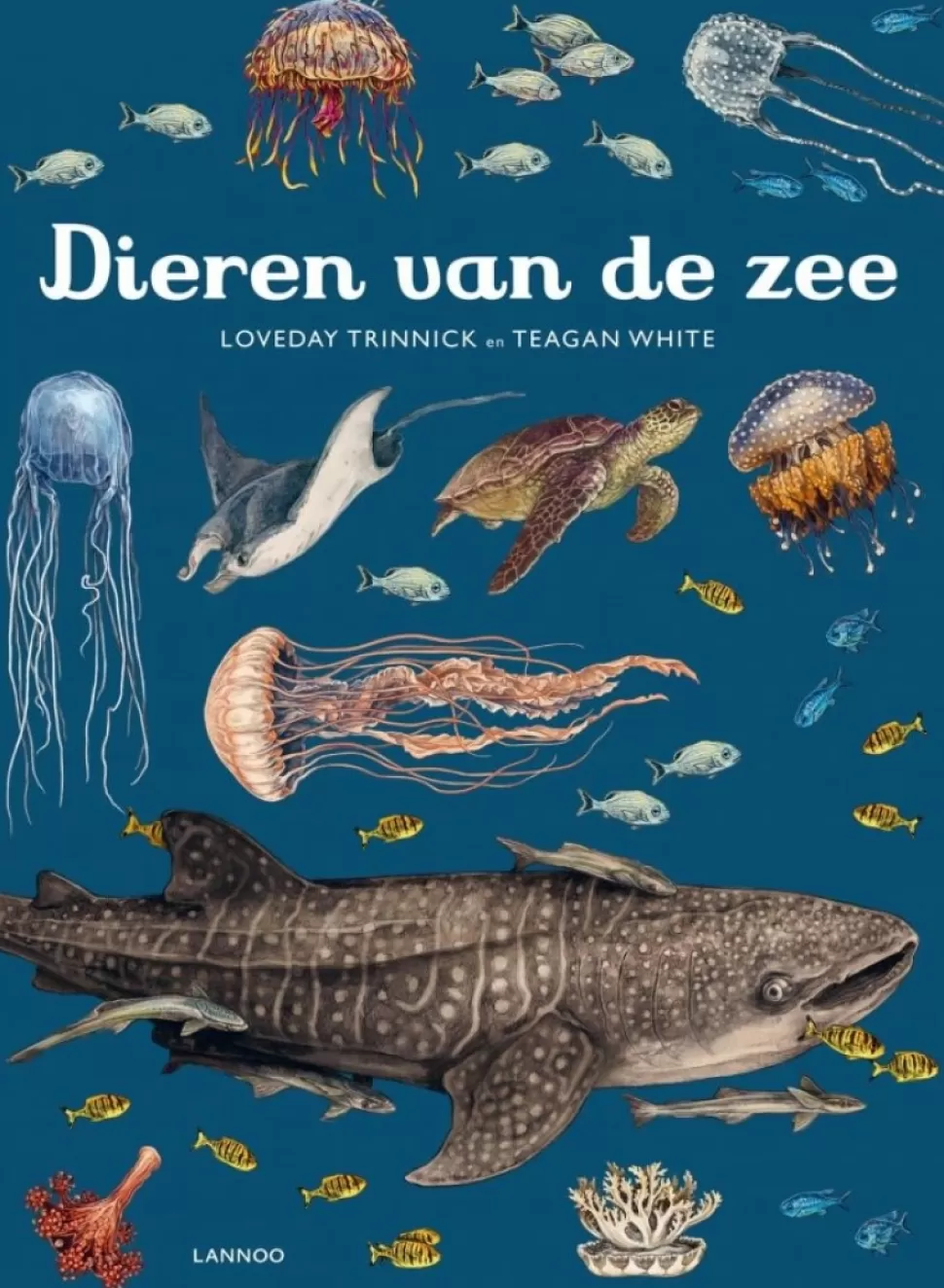 Outlet Dieren Van De Zee | Prentenboek Boeken