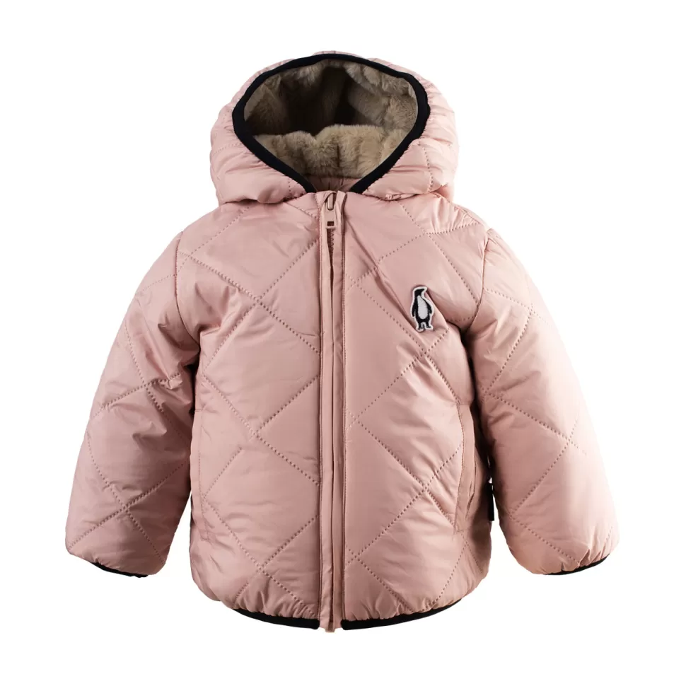 Clearance | Baby Shark | Evening Pink Winter