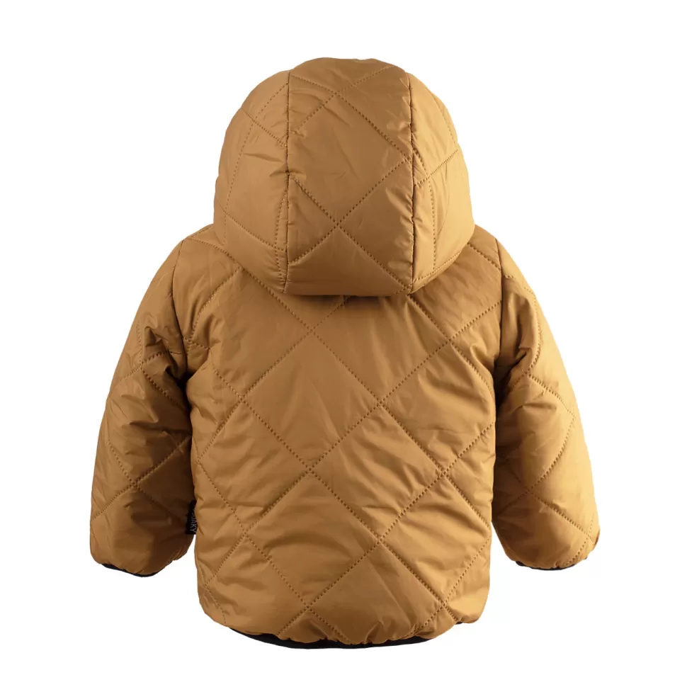 Outlet | Baby Shark | Wood Trush Ochre Winter