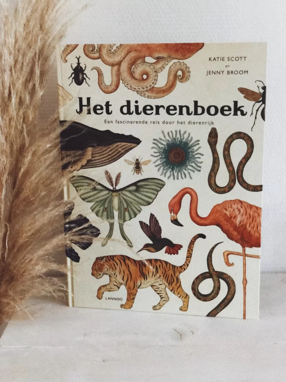 Online Het Dierenboek - Jenny Broom & Katie Scott Boeken