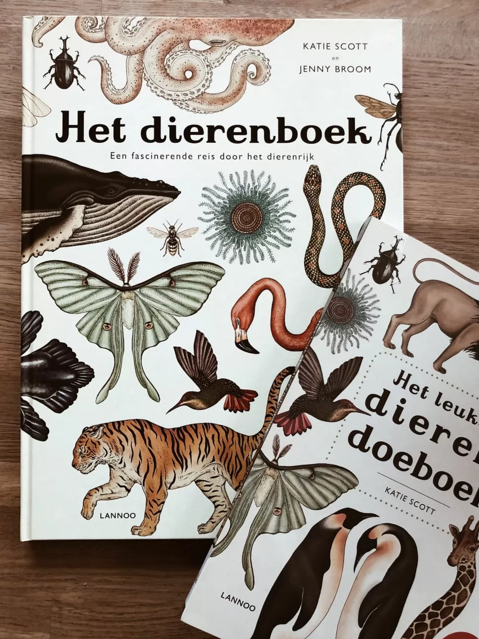 Online Het Dierenboek - Jenny Broom & Katie Scott Boeken