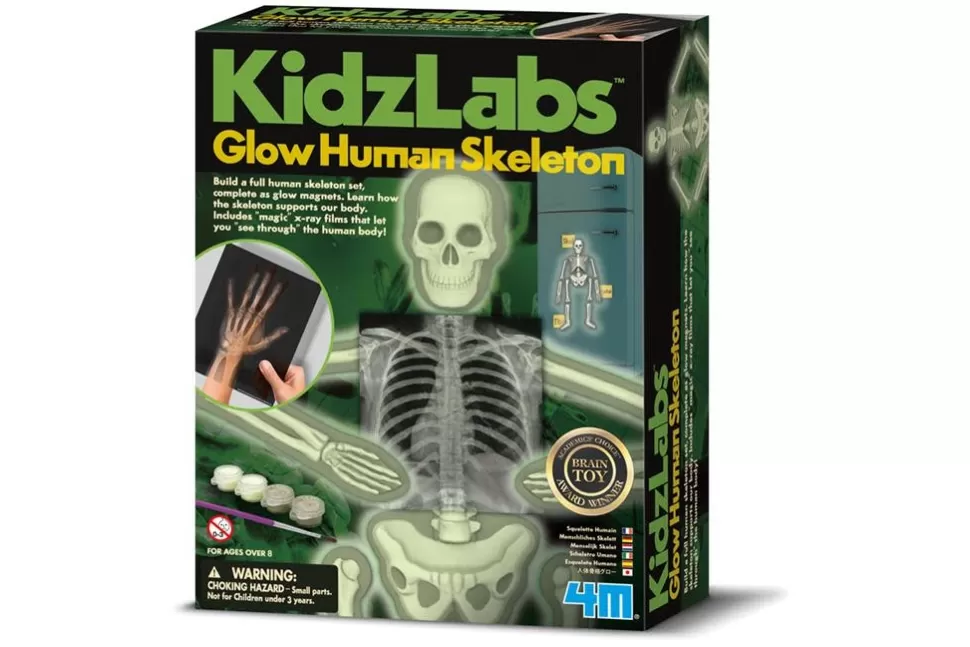 Best Sale Kidzlabs | Human Science | Lichtgevend Menselijk Skelet Spelletjes