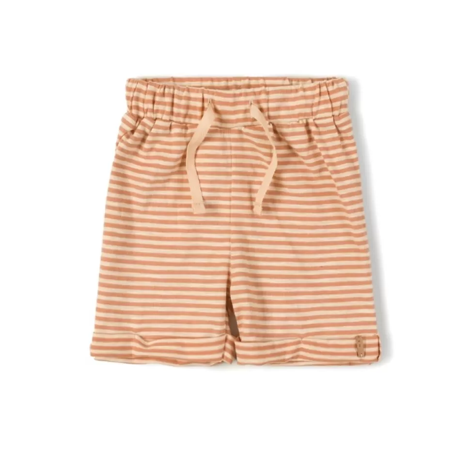 Fashion | Lace Short | Papaya Stripe Vrouw Broeken