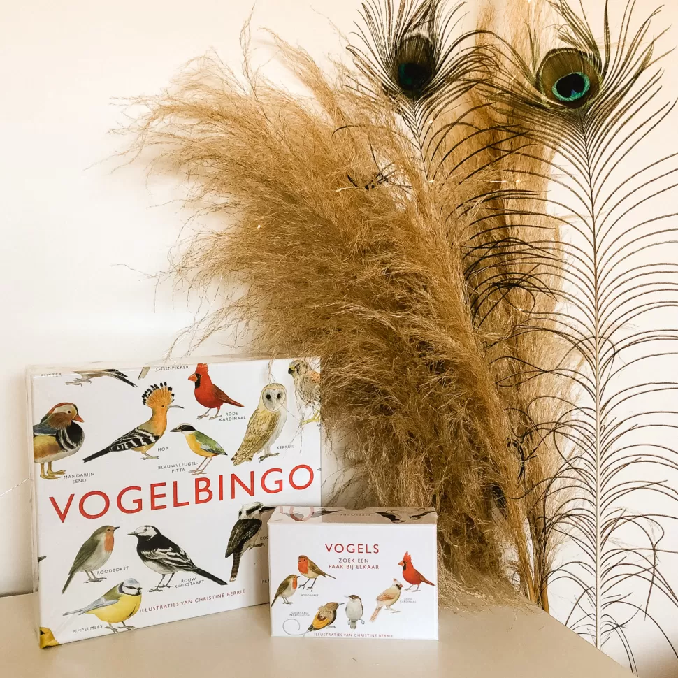 Online Vogelbingo Gezelschapsspel Spelletjes