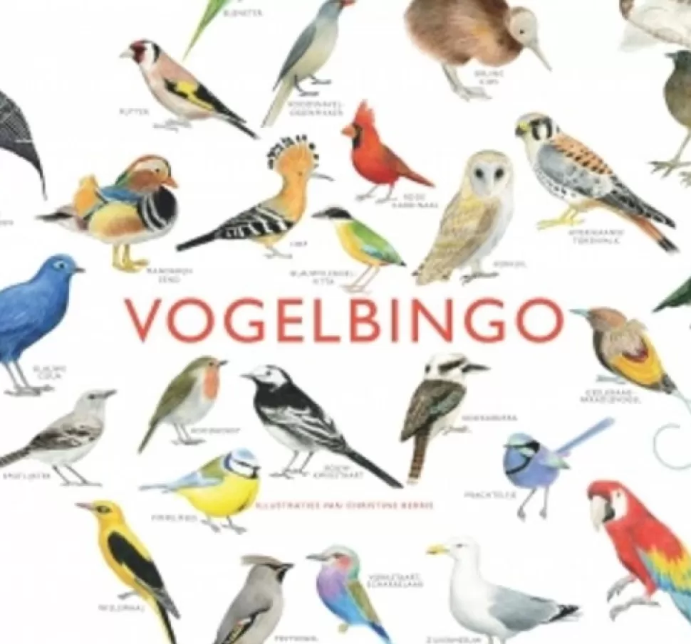 Online Vogelbingo Gezelschapsspel Spelletjes